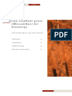 Asian Elephant Grass - Miscanthus - For Bioenergy PDF