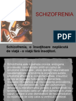 Schizofrenia- rezumat