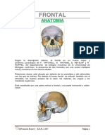 Frontal - Osteopatia 