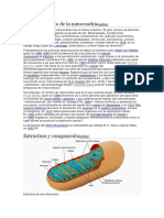 Descubrimiento de La Mitocondria