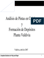 Análisis de Pintas Celulosa Planta Valdivia