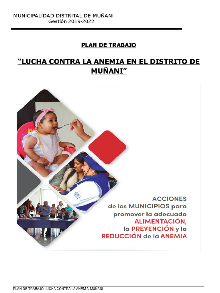 Plan de Lucha Contra la Anemia 2024 Muñani | PDF | El embarazo | Diarrea