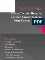 Taxonomia