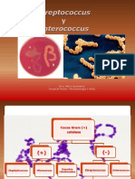 Estreptococos y Enterococos VD PDF