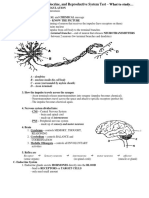 What to study Nervous Endocrine Repro.doc