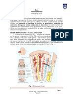 Guía Nº2. Fisiología Renal