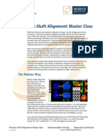 Alignment Master Class 2 day.pdf