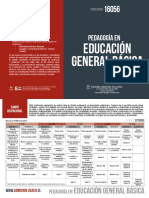 Pedagogía en Educación General Básica