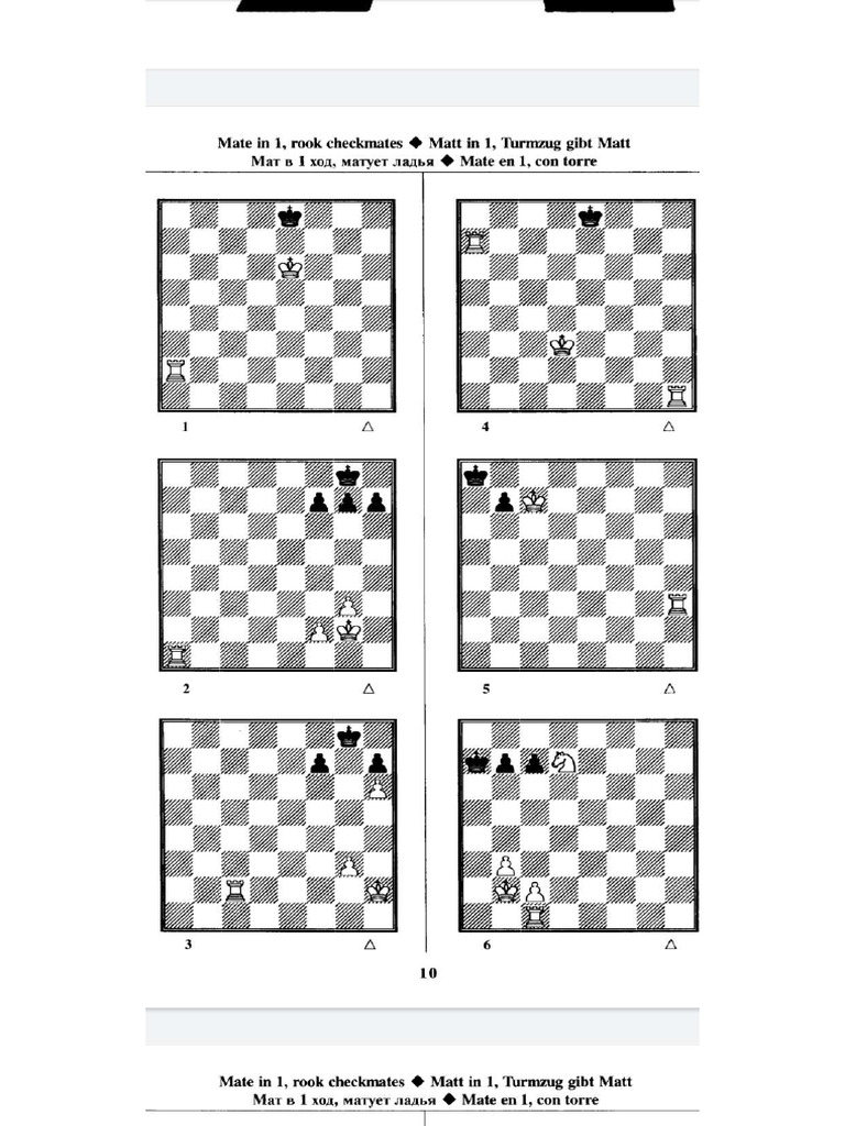 Checkmate in 1 Move | PDF