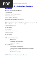 Selenium Testing Process