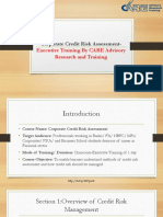 Corporate Credit Risk Assessment-Executive Training By CARE Advisory Research and Training 