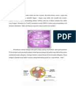 Histologi Ovarium + Uterus