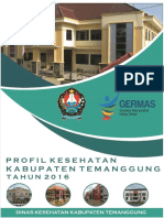 profil-kesehatan-2016-final