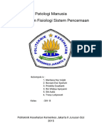 Makalah Anfis Sistem Pencernaan