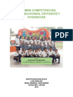 Resumen Competencias, Contribuciones, Criterios y Evidencias - 2019