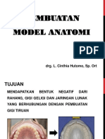 Anatomi Model