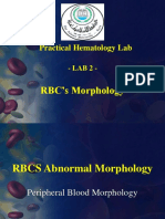 3 Red Blood Cells Morphology