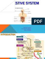 Digestive System Part 1 2014 STDS