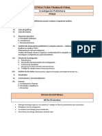 Estructura Trabajo Final - Investigacion Publicitaria - Ucsm - 2019