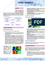 32443-FICHA FACTORES PSICOSOCIALES 2 (1).pdf