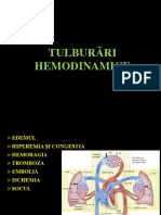 Tulburari Hemodinamice Morfopat Curs