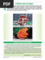 Aula 3 - Biologia 2ª Série