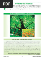 Aula 4 - Biologia 2ª Série