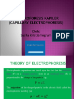 Elektroforesis Kapiler