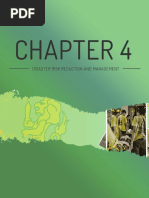 Chapter 4 DRRM PDF