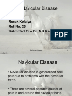 25 Navicular Disease
