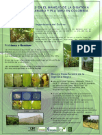 innovacionessigatokabananoplatano-100429113931-phpapp01.pdf