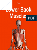 15h The-Lower-Back-Muscles-eBook PDF