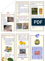 100464284-Leaflet-Anemia.doc