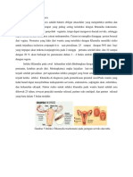 Habitat Chlamydia Trachomatis Fix