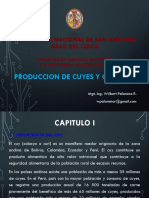 Cuyes_UNSAAC_2018 (1).pdf