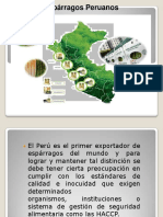 Espárragos Peruanos HACCP Calidad