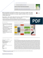 Bioaccumulation and Human Health Risk Assessment of DDT