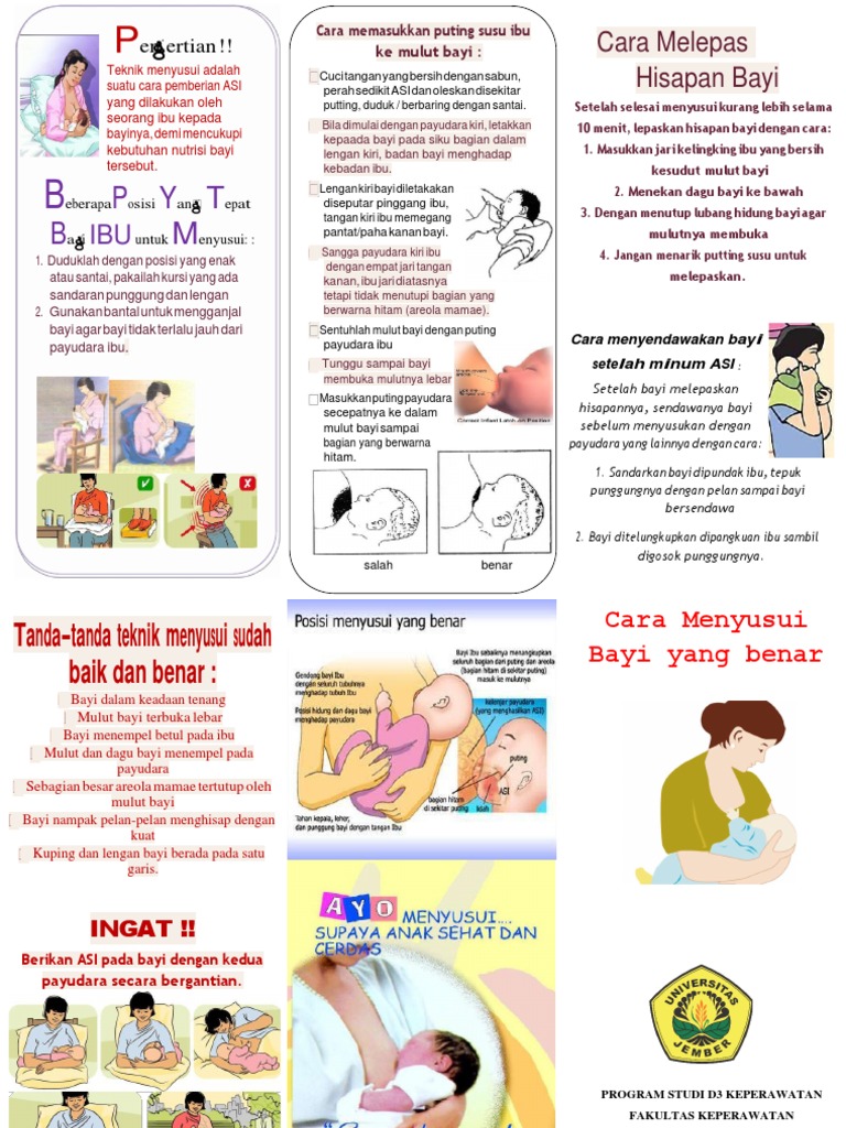 Leaflet Teknik Menyusui Yang Benar Dikonversi Dikonversi Pdf