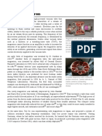 Cavity Magnetron