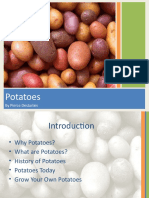 Potato Presentation Final