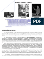 26d-Genética Evolutiva.-Seleccion Natural.pdf