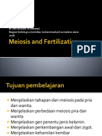 k5. Meiosis 2018