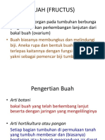 buahfructus-140302000106-phpapp02.pdf