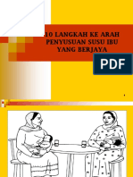 Penyusuan Berjaya