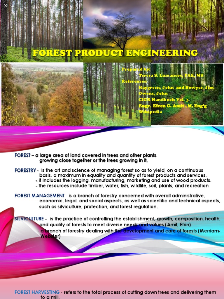 Forest product engineering.pptx Wood Plant Stem