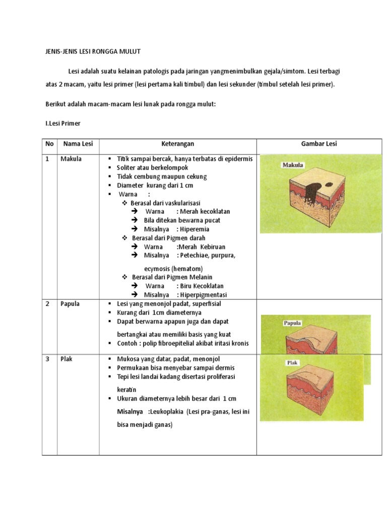 Lesi Primer Dan Sekunder PDF