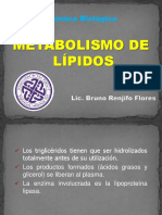 Metabolismo de lípidos.pdf