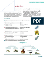 CLAVES DICO Ejemplo y Ejercicio