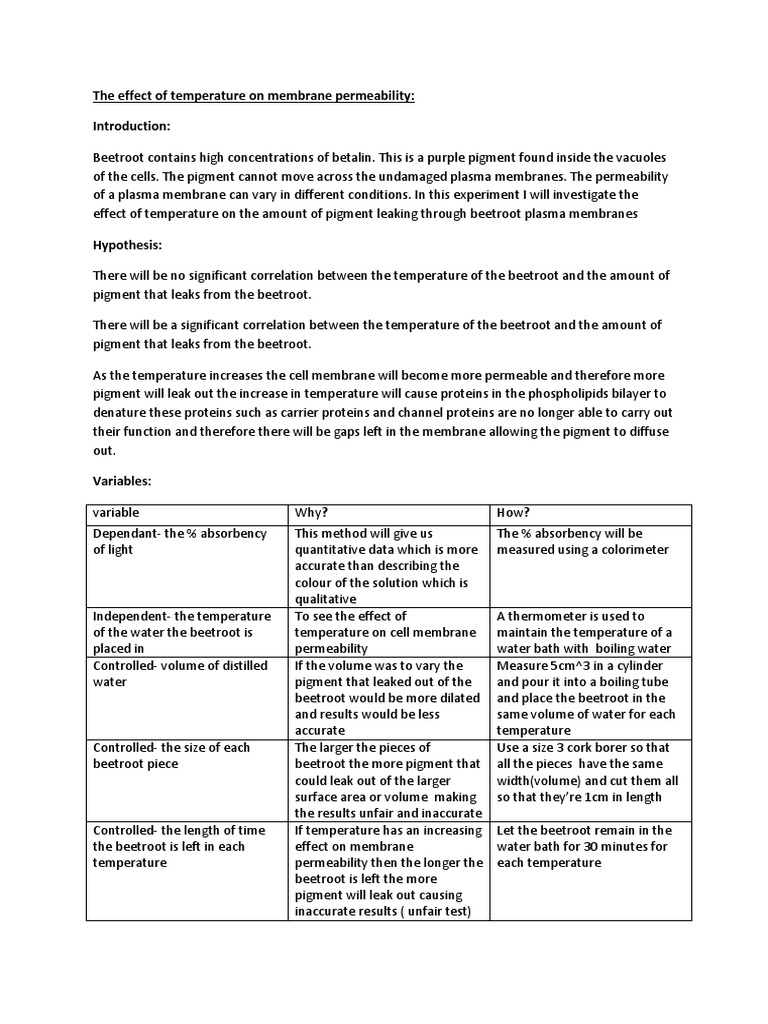 The Effect of Temperature On Membrane Permeability | PDF | Cell ...