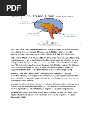 3 Levels of the Brain (EMDR)